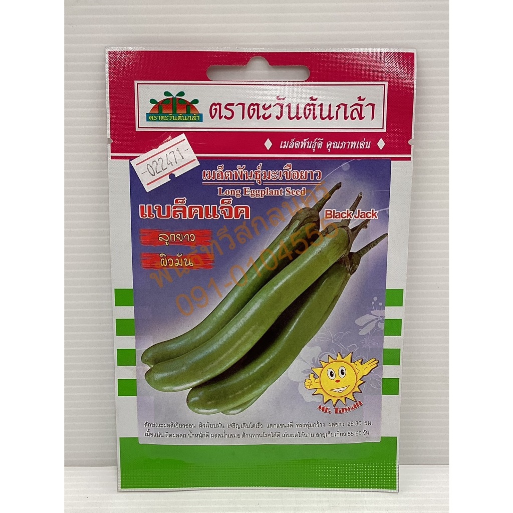 เมล็ดมะเขือยาว แบล็คแจ็ค V39