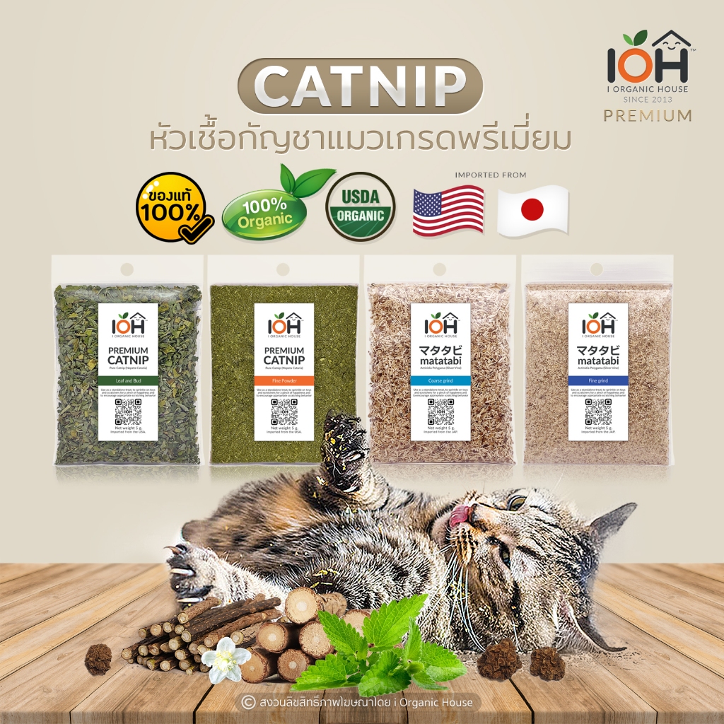 IOH Premium CATNIP & MATATABI กัญชาแมว แคทนิป หัวเชื้อไม่ผสมแท้ 100% เกรดพรีเมี่ยม สำหรับแมว