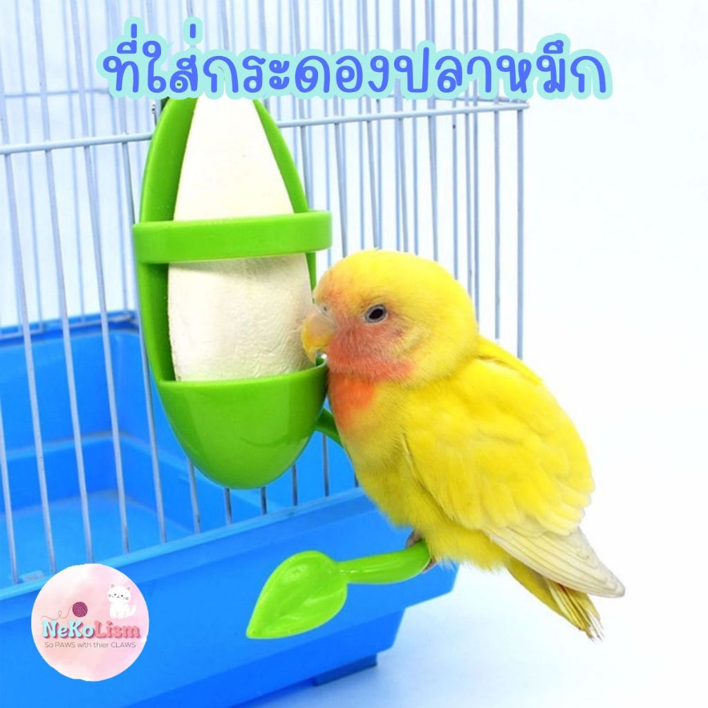 ที่ใส่กระดองปลาหมึก นก ที่ใส่ผลไม้ เลี้ยงนก สัตว์เลี้ยง ฟอพัส Bird