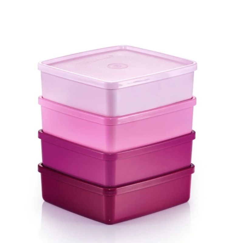 Tupperware กล่องเหมันต์สุขสันต์ ความจุ620มล. กล่องอาหารพกพา ฝาแน่นสนิท
