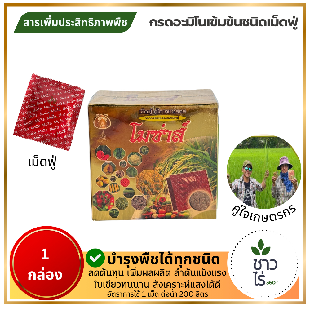 โมซ่าส์ 1 กล่อง ดีเจนะโม กรดอะมิโนเข้มข้นชนิดเม็ดฟู่ ลดต้นทุน เพิ่มผลผลิต ลำต้นแข็งแรง ใบเขียวทนนาน สังเคราะห์แสงได้ดี