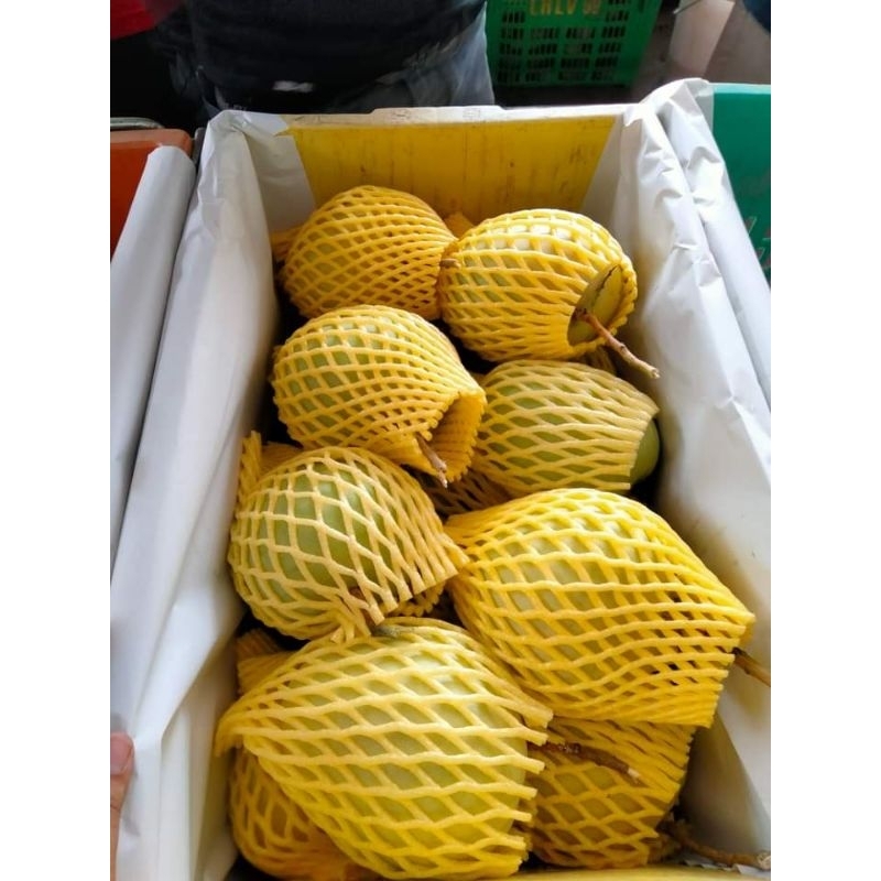 มะม่วง (R2E2)อาร์ทูอีทู