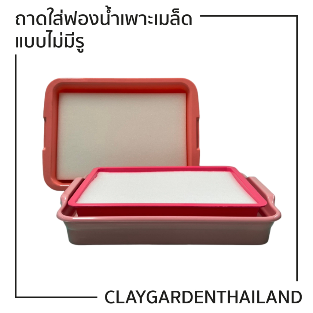 ถาดใส่ฟองน้ำเพาะเมล็ดแบบไม่มีรู