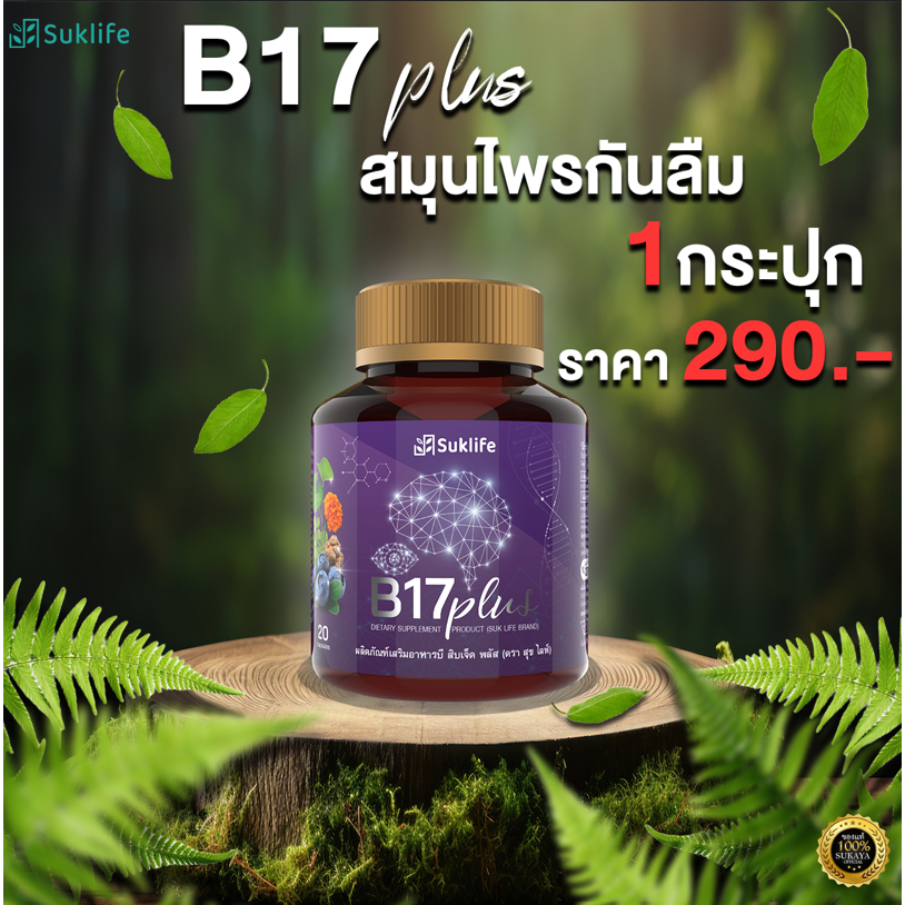 [Suk life] B17 Plus สมุนไพรกันลืม
