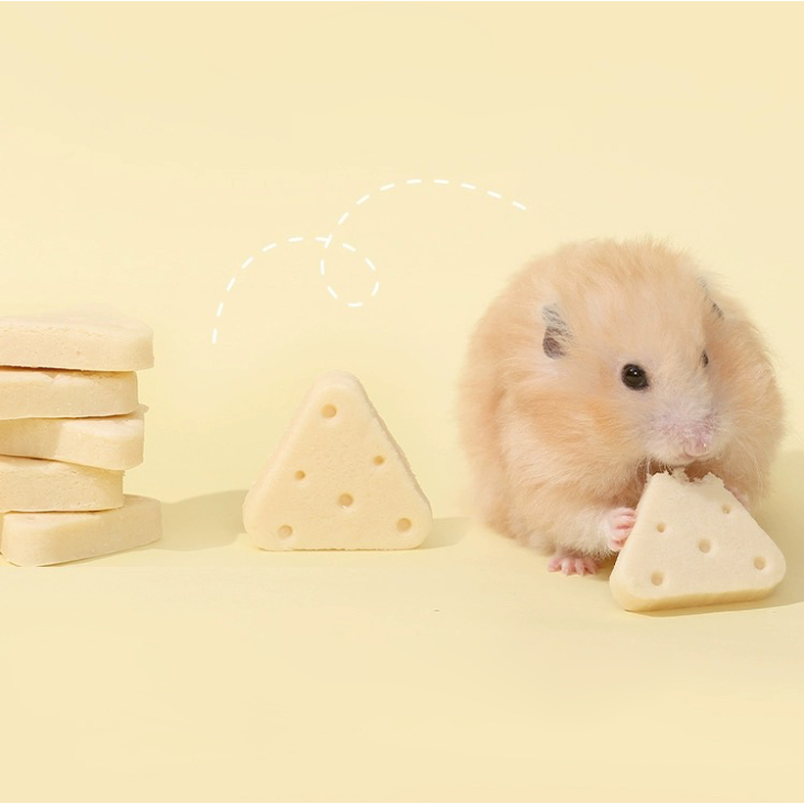 DOD ของเล่นหนูแฮมสเตอร์  ไม้กระดกของหนูแฮมสเตอร์ บ้านหนูแฮมเตอตร์ พร้อมส่ง