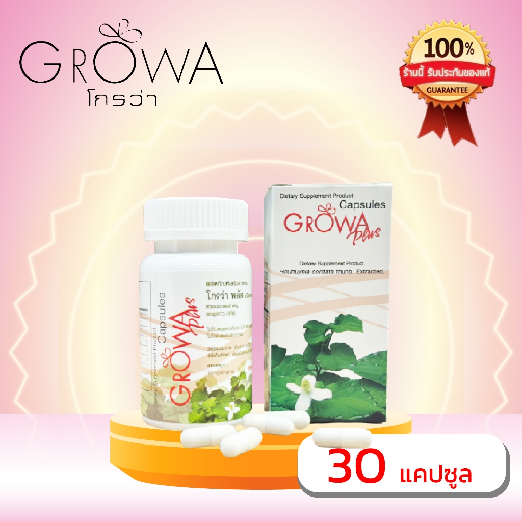 ผลิตภัณฑ์เสริมอาหาร โกรว่า พลัส ชนิดแคปซูล สกัดจาก สมุนไพร พลูคาว Growa plus (30 แคปซูล)