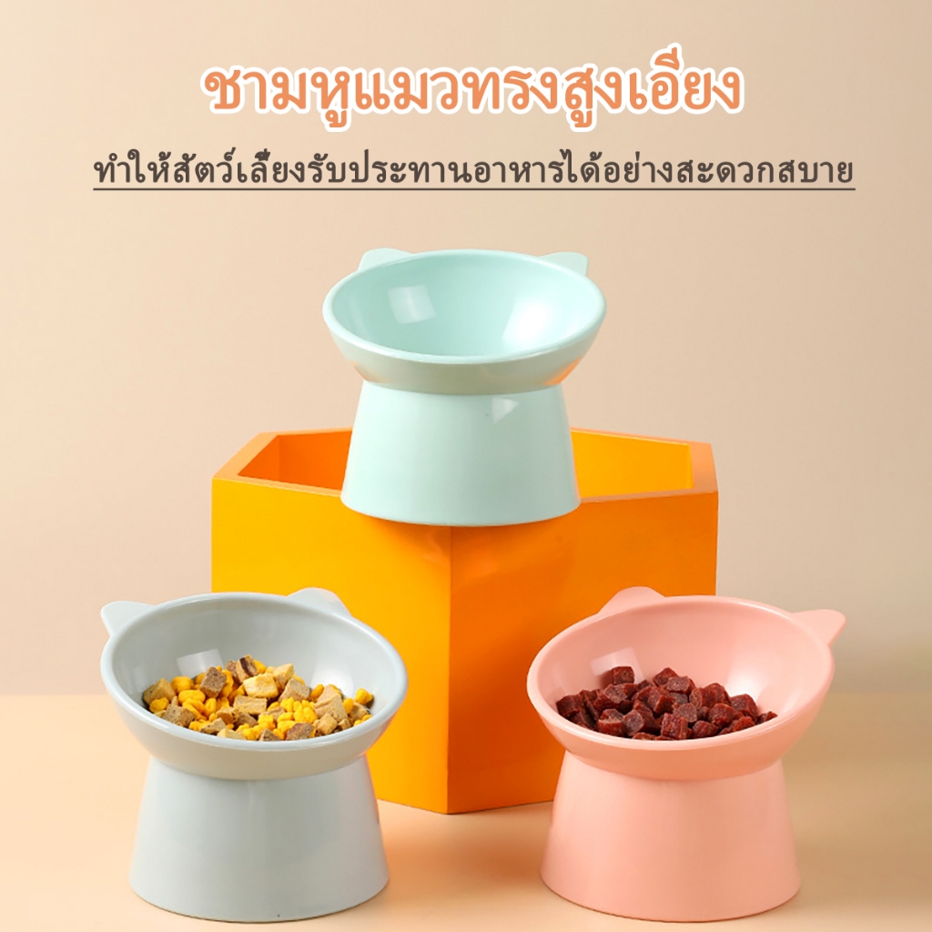 ชามอาหารแมว ชามข้าวหมา ชามแมวยกสูง ชามกันมด วัสดุสแตนเลสภายใน - รูปที่ 5