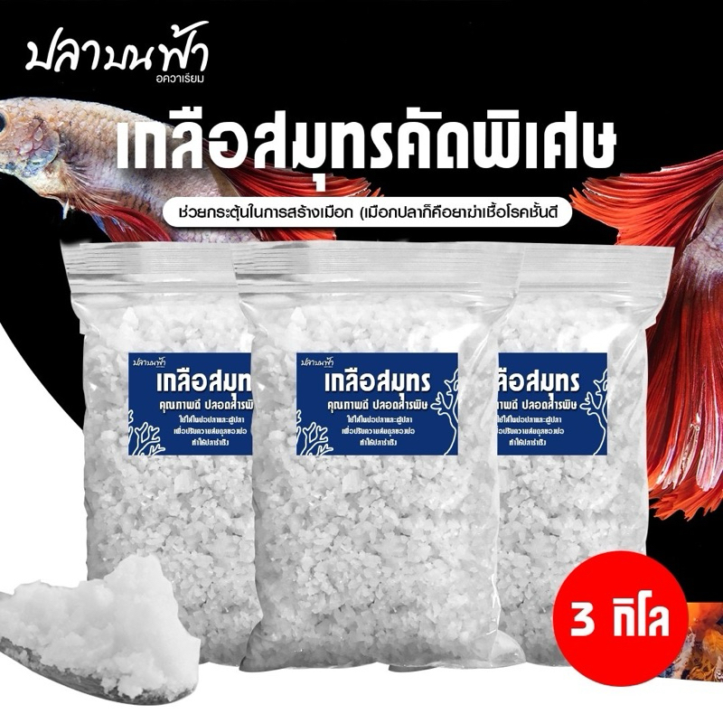 (พร้อมส่งทุกวัน) เกลือทะเล น้ำหนัก 3 กิโลกรัม เกรดสะอาดใส่ตู้ปลา เกลือใส่บ่อปลา เกลือสมุทร เกลือใส่ปลา ลดความเครียดขนาด