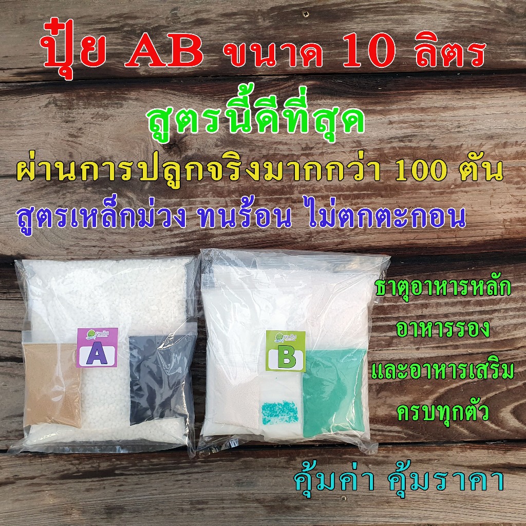 ปุ๋ย AB 10 ลิตร แบบแห้ง ปุ๋ยไฮโดรโปนิกส์ เข้มข้น ทนร้อน ใช้ได้ทั้งน้ำนิ่งน้ำวน ปุ๋ยคุณภาพ คุ้มค่า ประหยัด ราคาถูก
