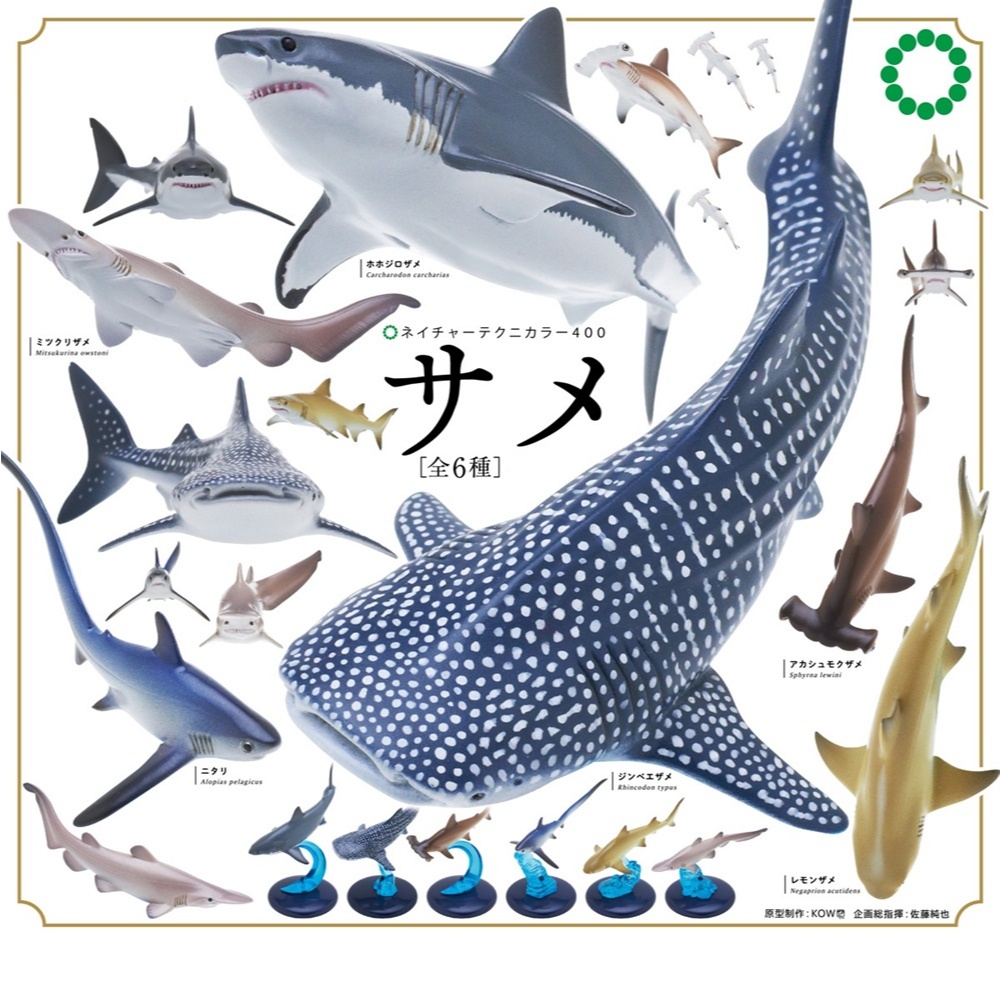 SALE !! NATURE TECHNICOLOR Shark กาชาปองฟิกเกอร์ฉลาม