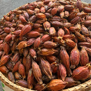 เม็ดพุดจีน ขนาด 500 กรัม จุยกีจี้ เม็ดทำสีเก๊กฮวย ทำให้สีสวย น่าดื่ม