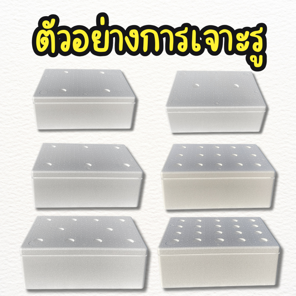 กล่องโฟม กล่องปลูกผัก พร้อมเจาะรู กล่องโฟมปลูกผักไฮโดรโปนิกส์ (**ชุด 4 ใบ**) รูปที่ 2