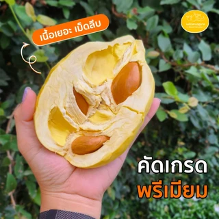 กรุงเทพปริมณฑลมีส่งด่วนยอดขายมากที่สุด รีวิวมากที่สุด ทุเรียนหมอนทองจันทบุรีแกะเนื้อ