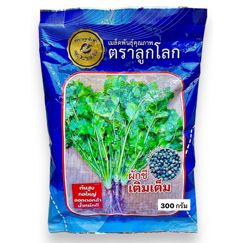 ผักชี พันธุ์เติมเต็ม กอใหญ่ (300 กรัม) ล็อตใหม่