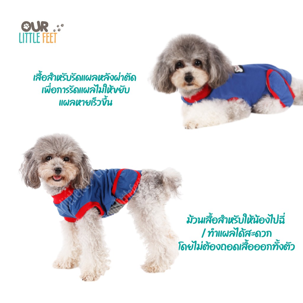 ชุดหลังผ่าตัดสุนัข Lemi - รูปที่ 3