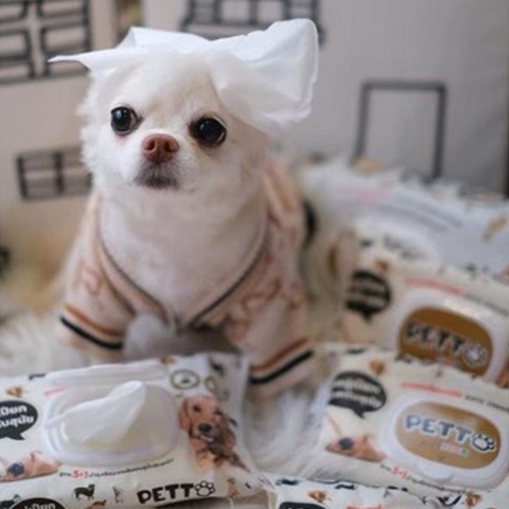 [แพ็คx3] ทิชชู่เปียก KUMA Petto มี 40 แผ่น คุมะเพ็ตโตะ ทิชชู่สัตว์เลี้ยงผ้าเปียกสัตว์เลี้ยง ทิชชู่หมา ทิชชู่แมว - รูปที่ 5