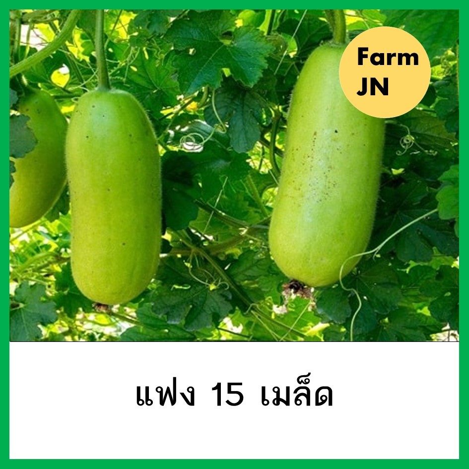 เมล็ดแฟง เมล็ดผักสวนครัว  10 แถม 1