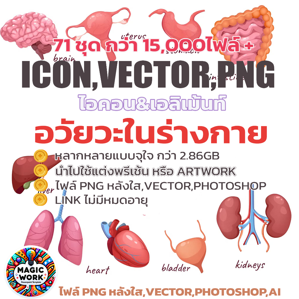 (Element2)15,000+ Organsl Element Vector,Png ไฟล์ เอลิเม้นท์ เกี่ยวข้องกับอวัยวะในร่างกาย สำหรับตกแต่งงานออกแบบ/พรีเซ้น