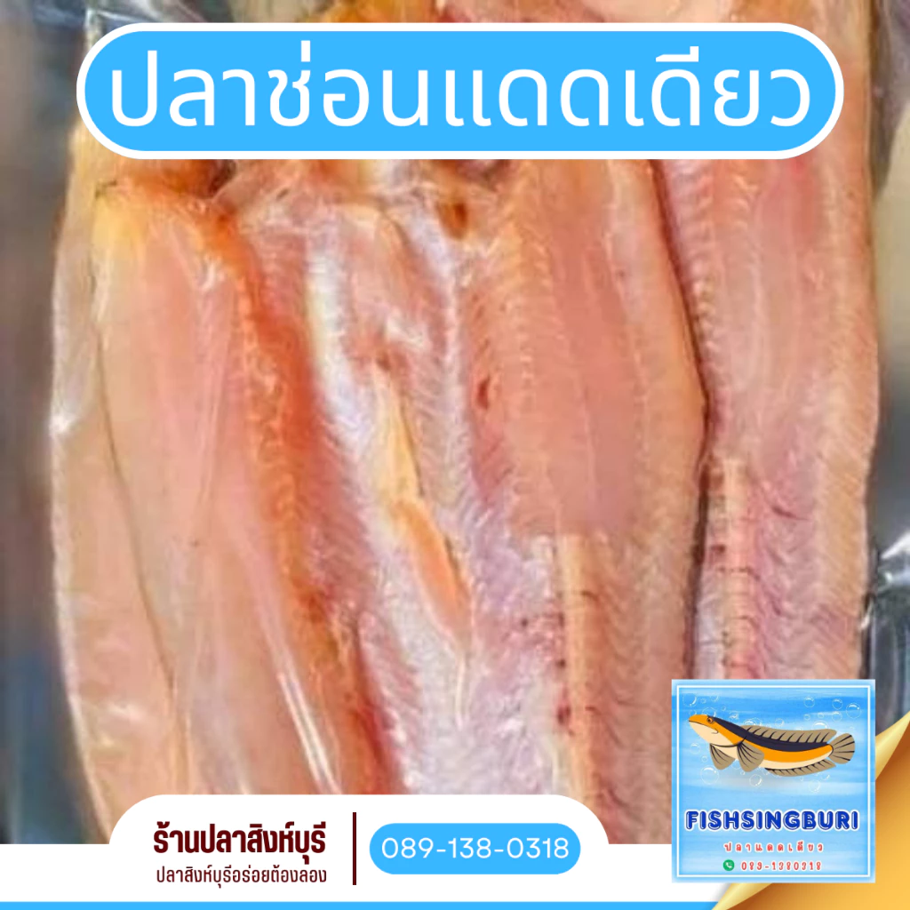 ปลาช่อนแม่ลาแดดเดียว 2-3 ตัว/กิโล 1กิโลกรัม