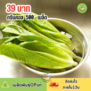 เมล็ดพันธุ์กรีนมินิคอส 500 เมล็ด
