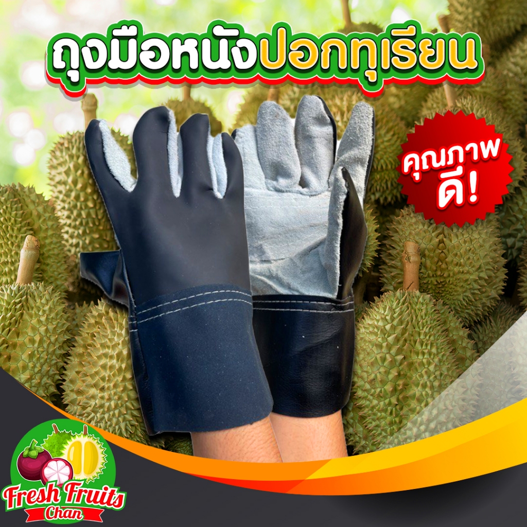 ถุงมือหนังปอกทุเรียน คุณภาพดี 1 คู่ (ขนาดฟรีไซส์)
