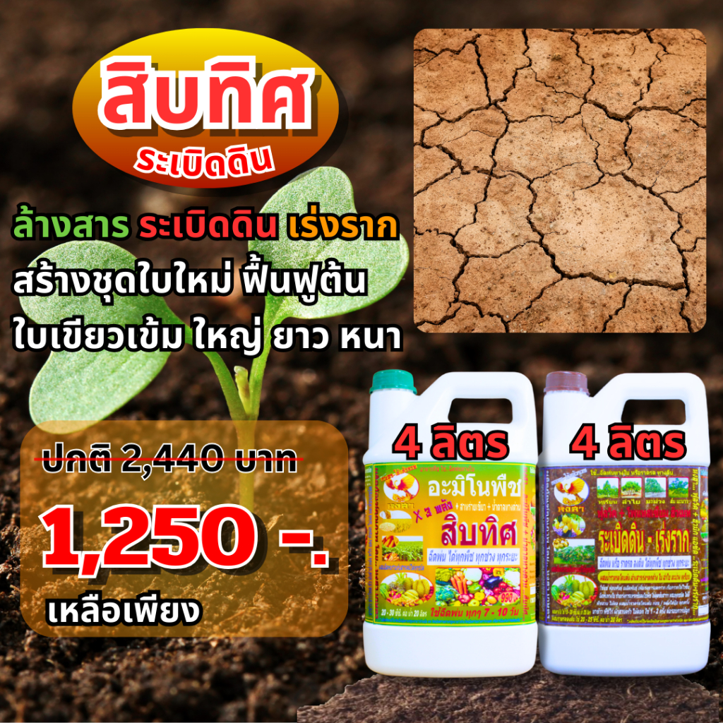 สิบทิศ ระเบิดดิน โปรโมชั่น 1 แถม 1 ฟื้นฟูต้น บำรุงต้น เตรียมต้น สร้างยอด สร้างใบ ล้างสาร เร่งราก อาหารพืช
