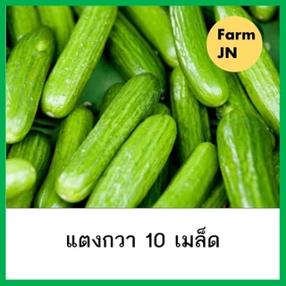 เมล็ดแตงกวา แตงกวา เมล็ดพันธุ์ผัก เมล็ดผัก เมล็ดผักสวนครัว 10แถม1 คละได้