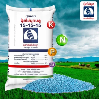 ปุ๋ยเคมี 15-15-15 ปุ๋ยสูตร สูตรเสมอ เรือใบไข่มุก ปุ๋ยเร่งต้น ปุ๋ยเร่งดอก ปุ๋ยเร่งผล ปุ๋ยเร่งโต ใช้ได้กับพืชทุกชนิด