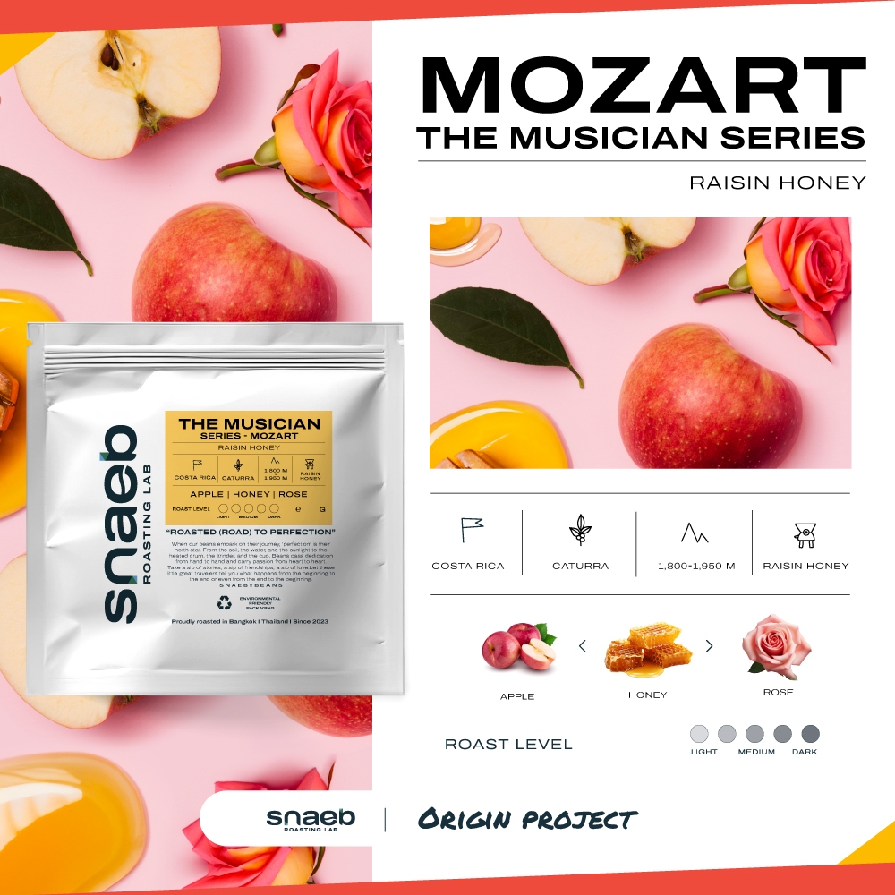 The Musician Series - MOZART Raisin Honey | เมล็ดกาแฟคั่ว คั่วอ่อน Snaeb Coffee