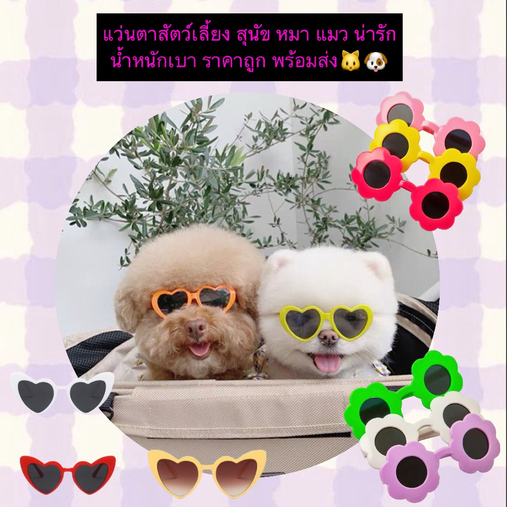 AL-1124 แว่นตาสัตว์เลี้ยง สำหรับสุนัขและแมว ดีไซน์น่ารัก หลากหลายแบบ น้ำหนักเบา พร้อมส่ง