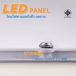 โคมไฟดาวน์ไลท์ ฝังฝ้า LED ฝังฝ้า ติดฝ้าเพดาน 18W 12W 9W 6W 3W ดาวไลท์ แบบบาง กลม TSM