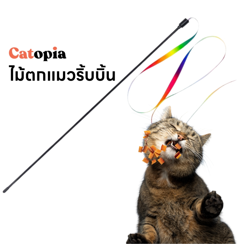 ไม้ตกแมวริบบิ้นสายรุ้ง ไม้ล่อแมว ไม้เรียกแมว ของเล่นแมว Selected By Petopia