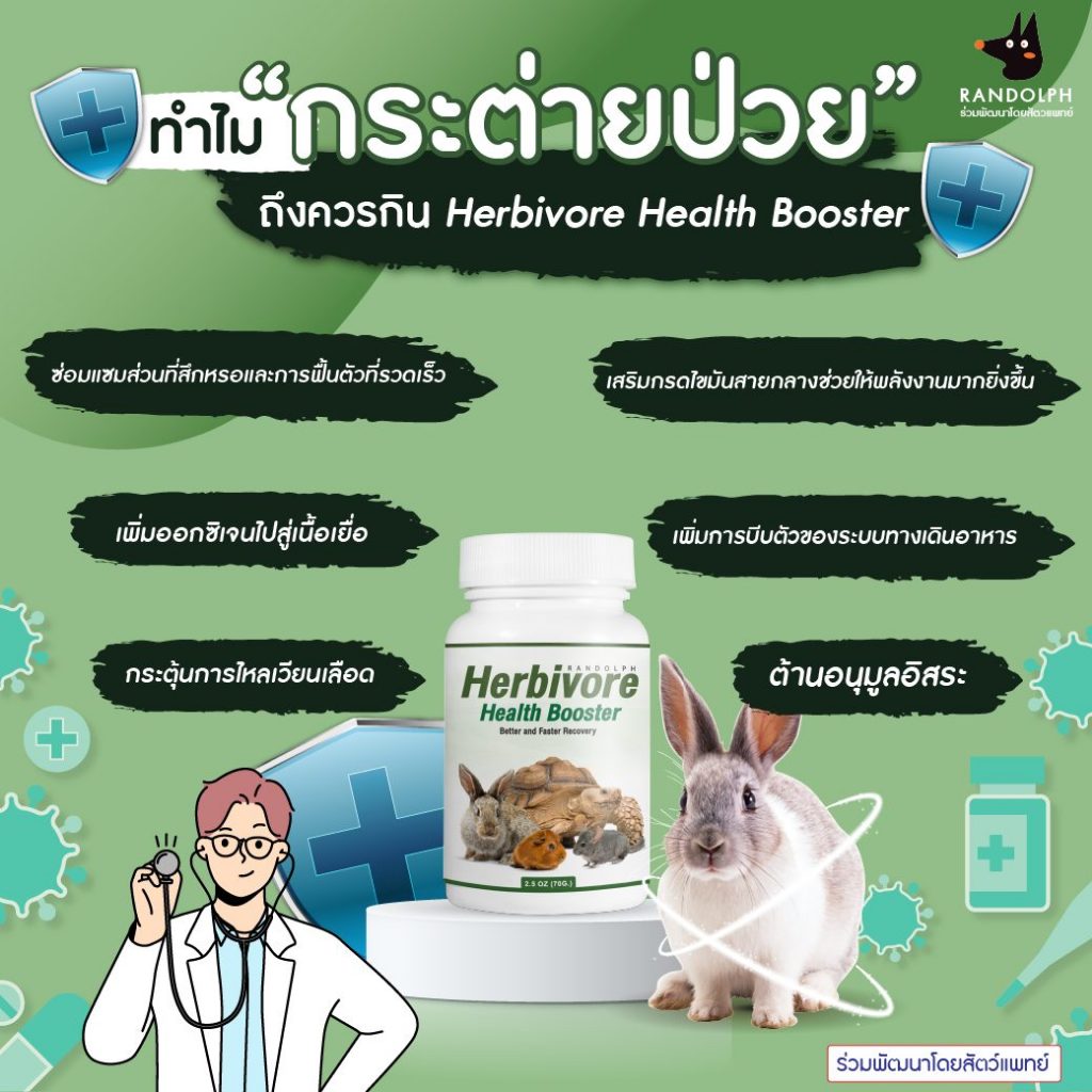 รูปภาพ 8