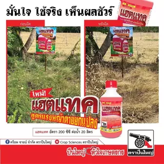 {💰ยกลัง} แฮตแทค ( กลูโฟซิเนต + แอมโมเนียม ) 4 x 6 เเกลลอน สารกำจัดวัชพืชใบแคบและใบกว้าง สูตรน้ำส้มใส