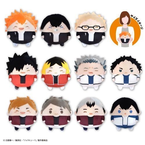 (🔴พร้อมส่ง) Haikyuu!! Fuwakororin Special & V.3 M & BIG size ฟุวะไฮคิวไซซ์ M/BIG