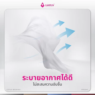LOTUS หมอนข้างใยสังเคราะห์ รุ่น Freshy