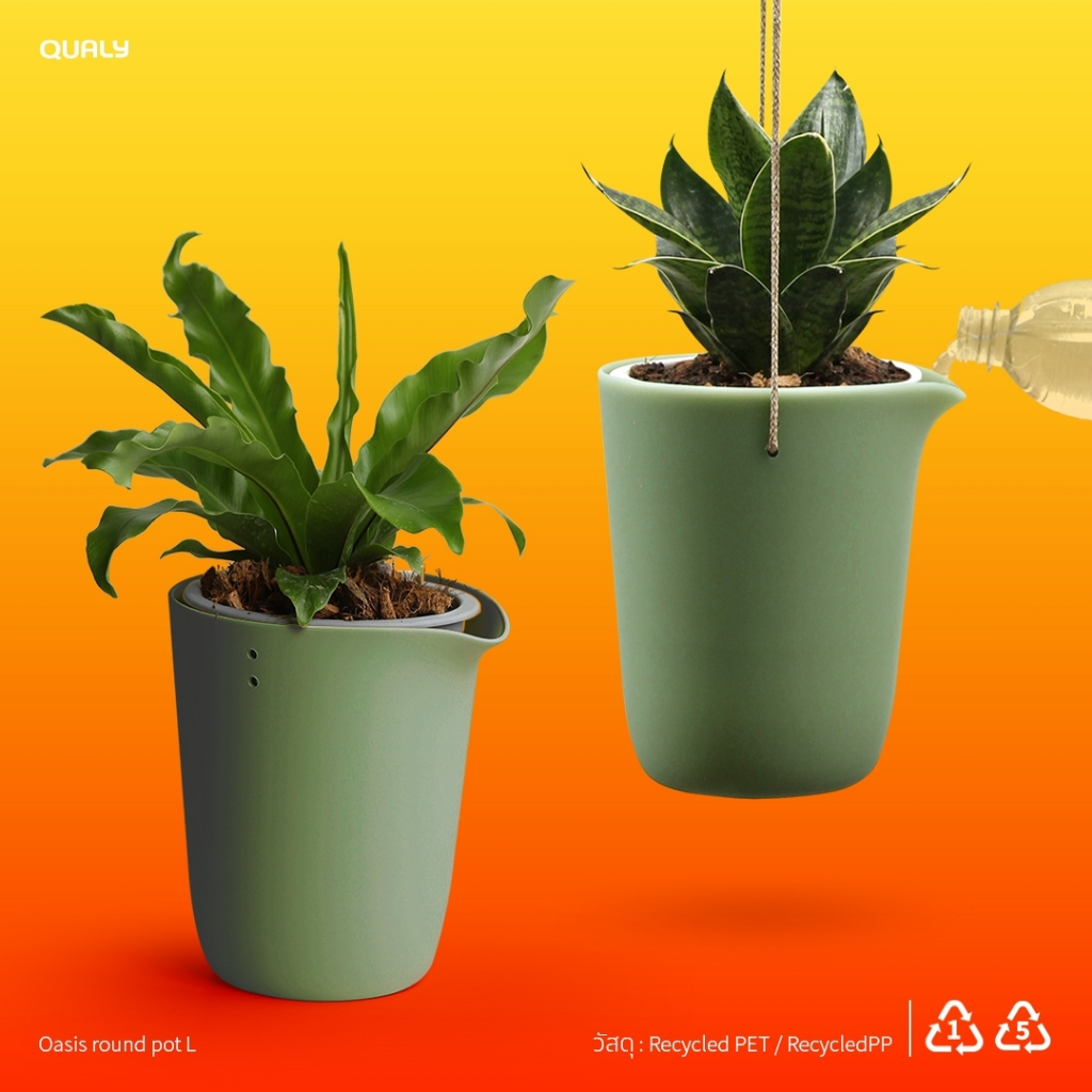 Oasis round pot Self watering Plant pot กระถางต้นไม้ให้น้ำอัตโนมัติ ตั้ง/แขวน size S/L Qualy(ควอลี่)
