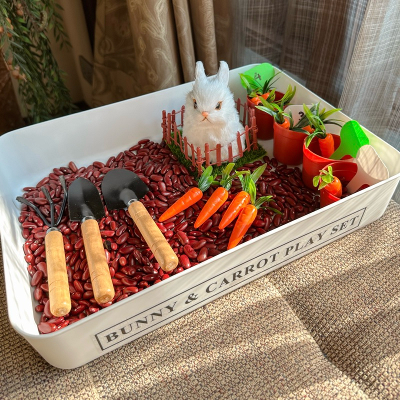 Bunny & Carrot Play Set ชุดปลูกแครอทในสวน ฝึกนับเลข รูปที่ 2