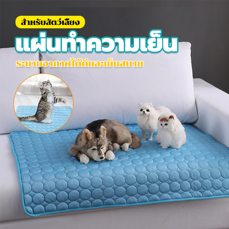 เบาะแมว แผ่นเย็นสุนัข แผ่นทำความเย็นสัตว์เลี้ยง เบาะนอนเย็น ผ้าไหมน้ำแข็งเย็น สบาย มีให้เลือก 4 ขนาด