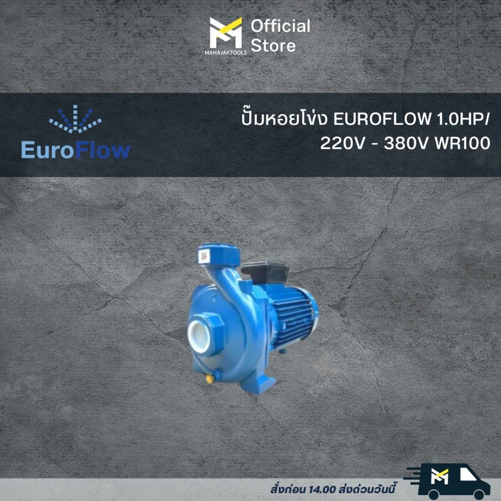 ปั๊มหอยโข่ง EUROFLOW 1.0HP/220V - 380V WR100