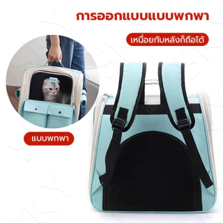 กระเป๋าแมว 8KGใบใหญ่มาก พับเก็บได้ ระบายอากาศได้ กระเป๋าเป้เดินทางกลางแจ้งระบายอากาศสำหรับแมว กระเป๋าหมา