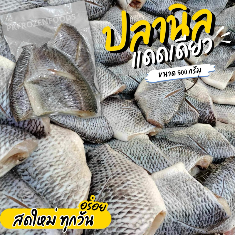 ปลานิลแดดเดียว(500g.) ค่าส่งแบบเหมา คละได้ทั้งร้าน โฟมฟรี ทุกจังหวัด ส่งขนส่งแช่เย็น