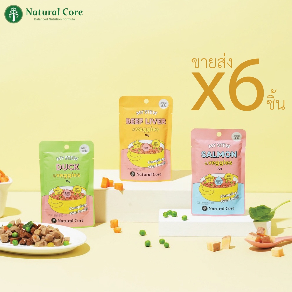 (ขายส่ง6ชิ้น)Natural Core Stock My Stew ซุปสตูว์ สำหรับสุนัข นำเข้าจากประเทศเกาหลี 🇰🇷