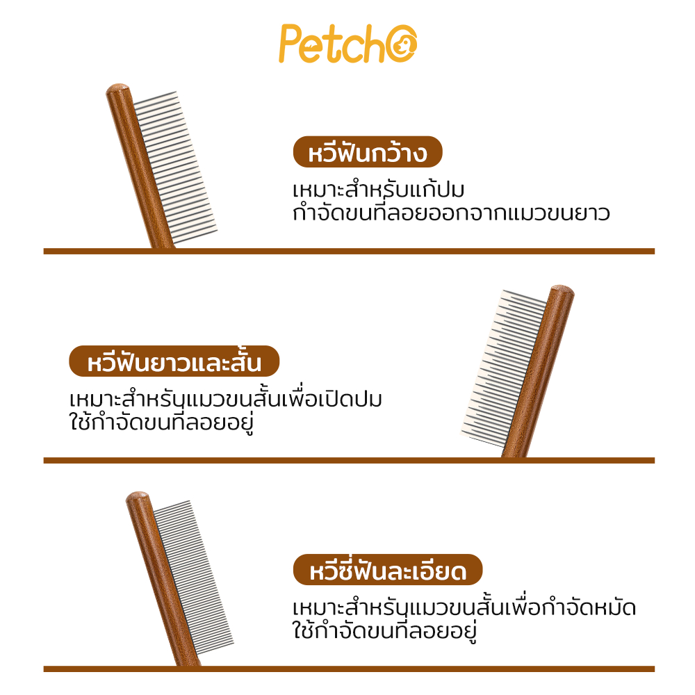 รูปภาพ 2