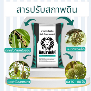 สารปรับสภาพดินแสนราขสีห์ แก้ดินเปรี้ยว ดินด่าง ดินเค็ม ดินแน…