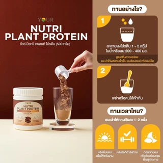 (ของแถมทุกออเดอร์) YOUR Nutri Plant Protein รสช็อคโกแล็ต และ รสธรรมชาติ ยัวร์นิวทริแพลนท์โปรตีน โปรตีนจากพืช ขนาด 500 ก.
