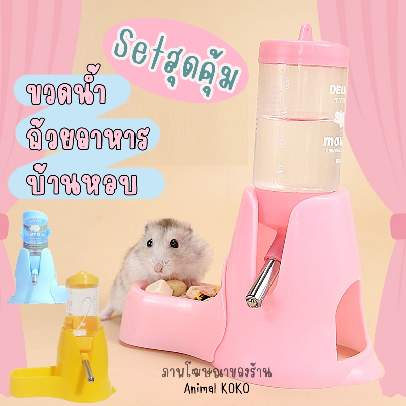 [Animal KOKO] พร้อมส่งจากไทย set สุดคุ้ม 3 IN 1 ขวดน้ำ ชาม และบ้าน สำหรับหนูแฮมสเตอร์ มี 3 สี