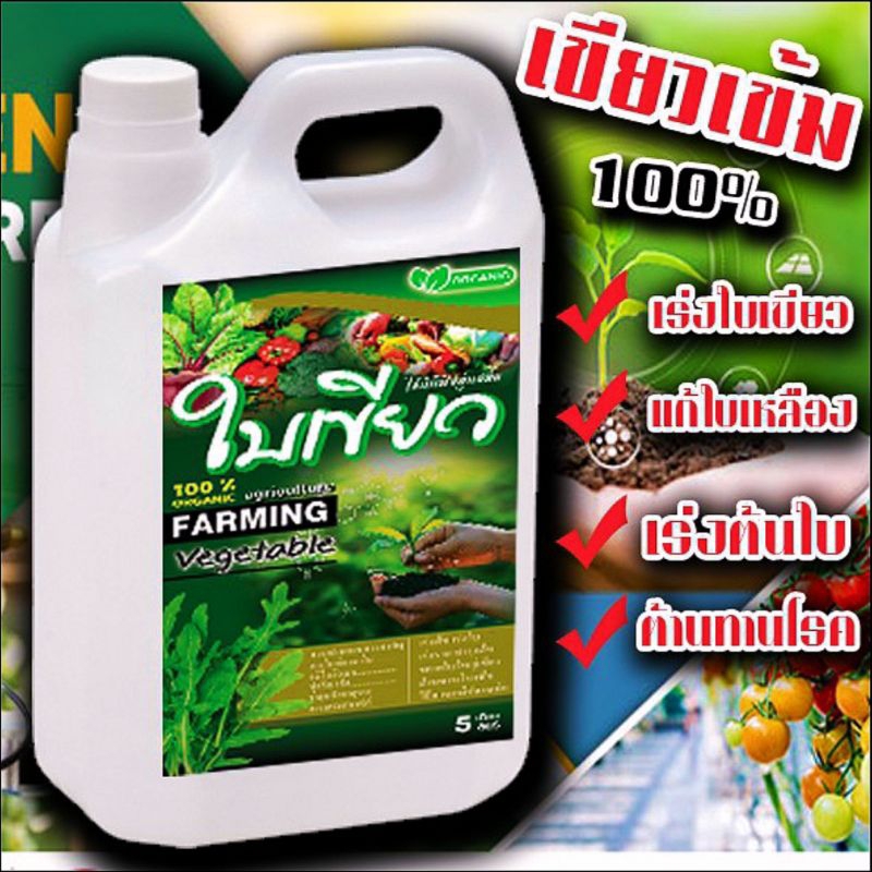 🥬🌱💥เร่งใบเขียว5ลิตร💥🥬🌱แก้ใบเหลืองแก้ต้นโทรมกระตุ้นการเจริญเติบโตแกลลอนละ 5 ลิตร