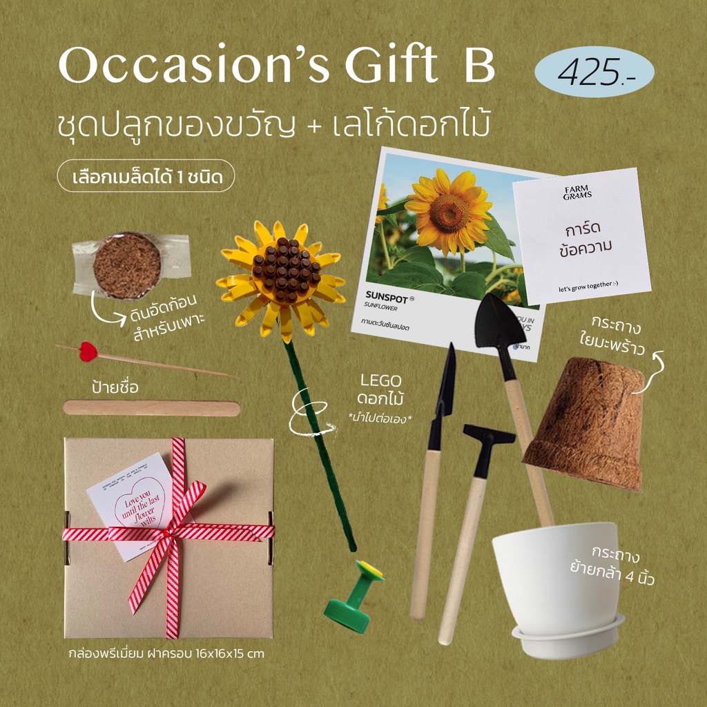 ชุดปลูกดอกไม้ ของขวัญโอกาสพิเศษ Occasions's Gift C + Lego ดอกไม้สุดพิเศษ(คละดอกไม้) 💥🧡