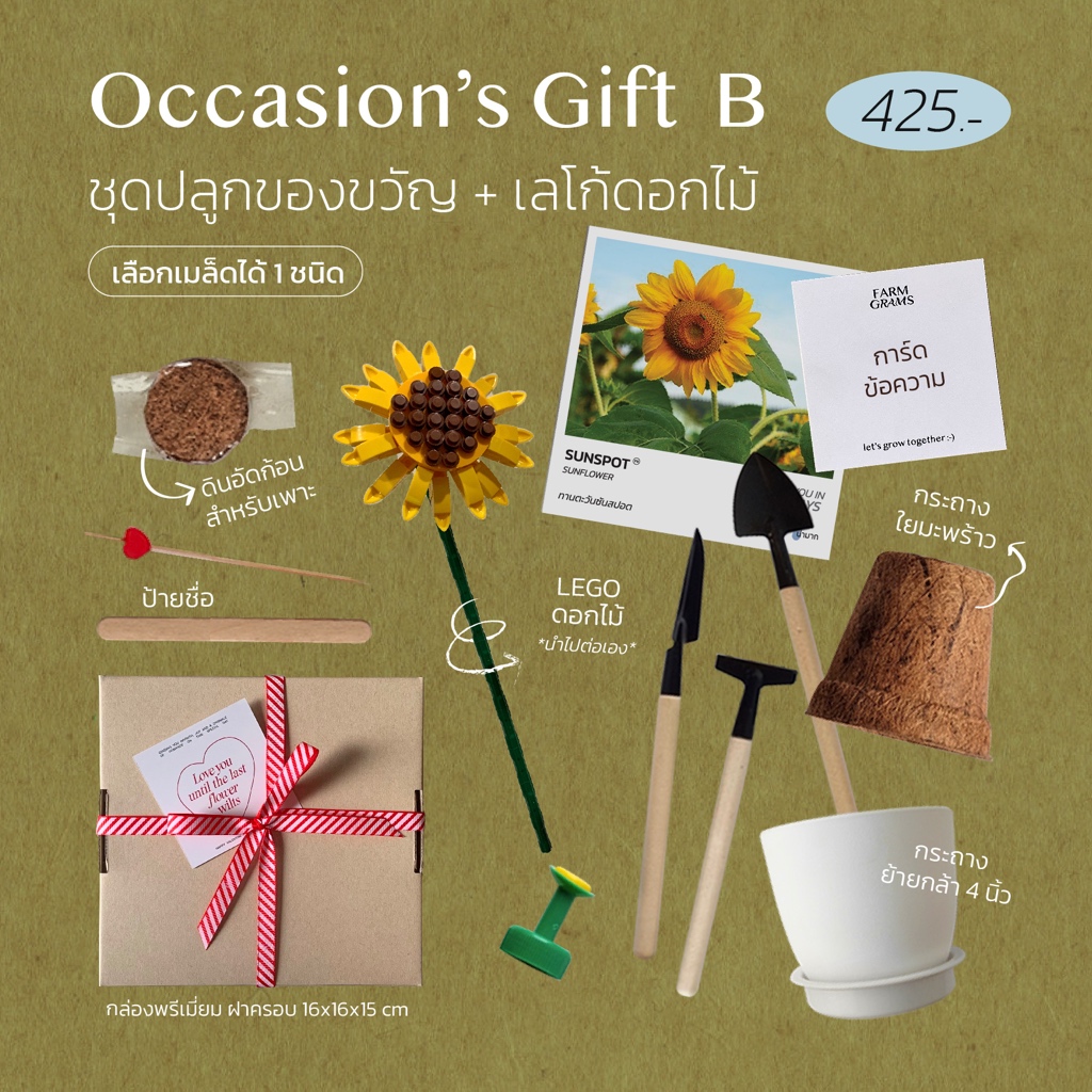ชุดปลูกดอกไม้ ของขวัญ Occasions's Gift B + Lego ดอกไม้สุดพิเศษ(คละดอกไม้) 💥🧡
